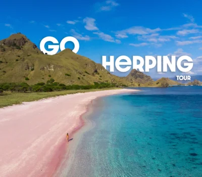 Komodo Island and Pink Beach