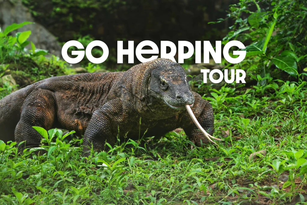 herping tour