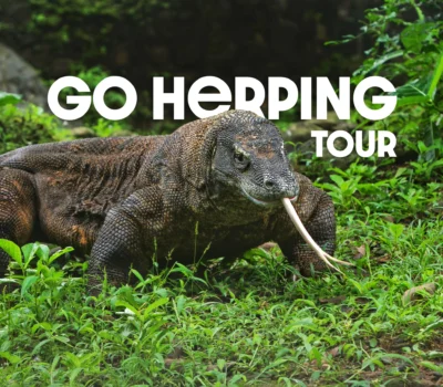 herping tour